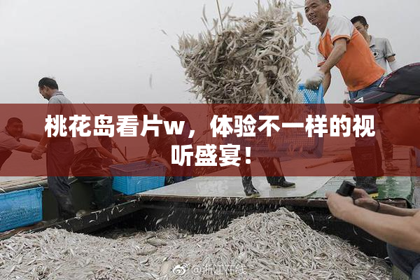 桃花岛看片w，体验不一样的视听盛宴！