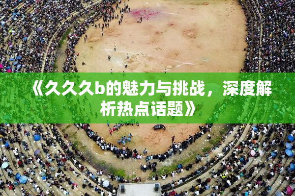 《久久久b的魅力与挑战，深度解析热点话题》