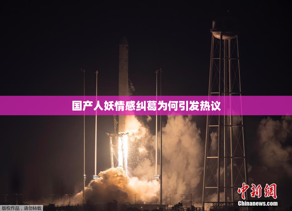国产人妖情感纠葛为何引发热议