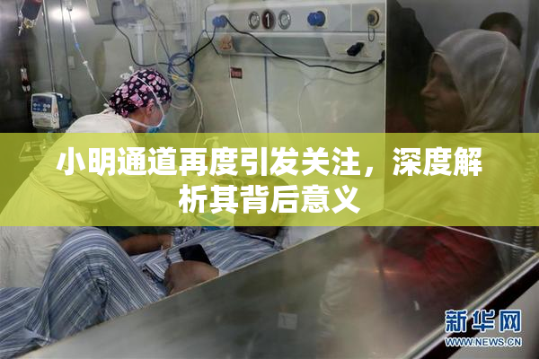 小明通道再度引发关注，深度解析其背后意义