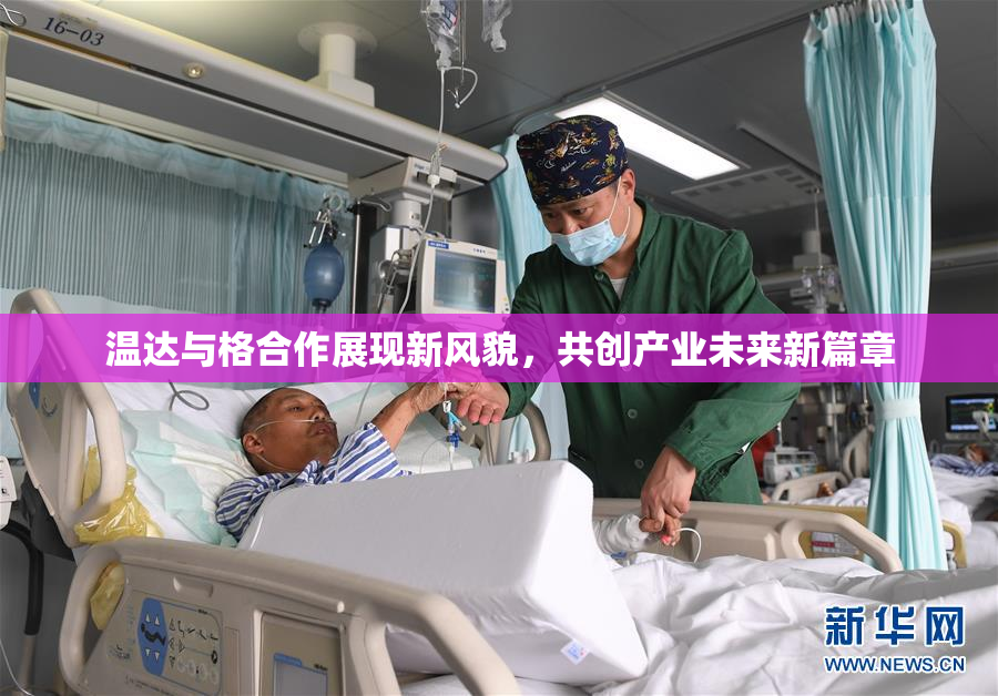 温达与格合作展现新风貌，共创产业未来新篇章