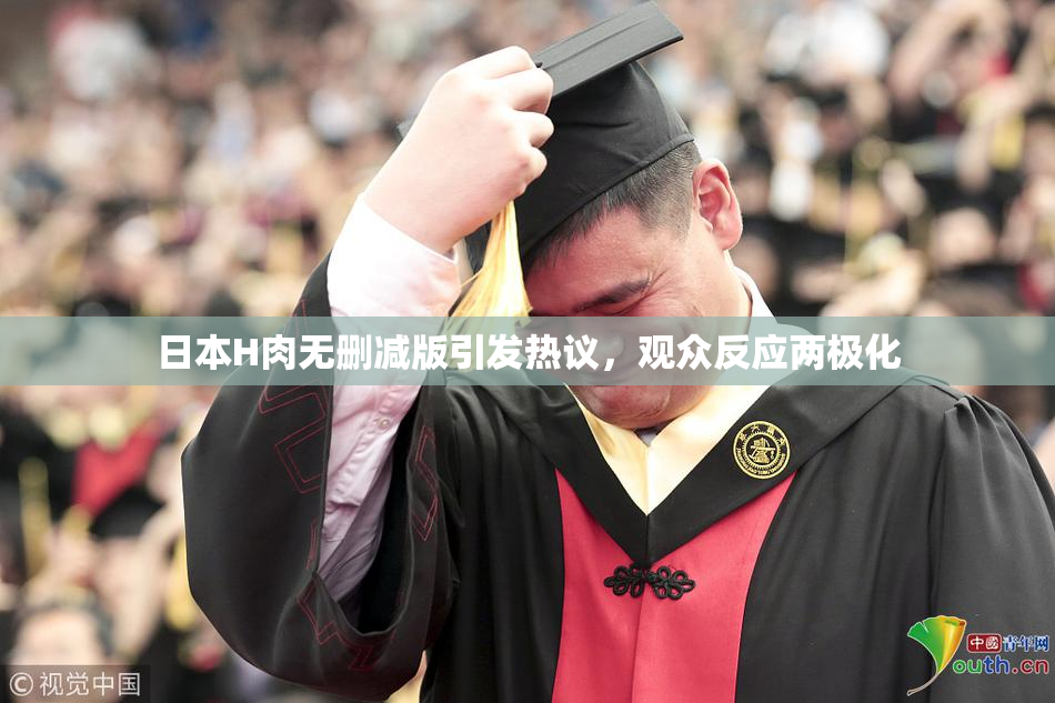 日本H肉无删减版引发热议，观众反应两极化