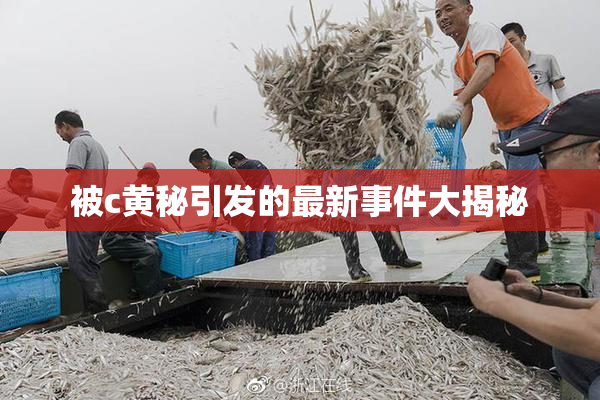 被c黄秘引发的最新事件大揭秘