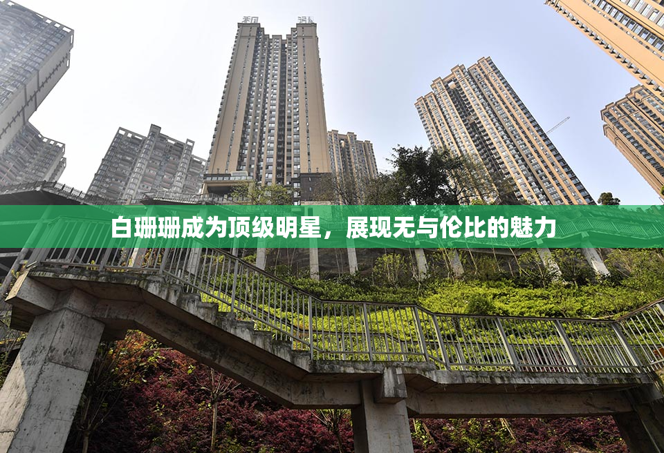 白珊珊成为顶级明星，展现无与伦比的魅力