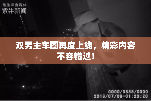 双男主车图再度上线，精彩内容不容错过！