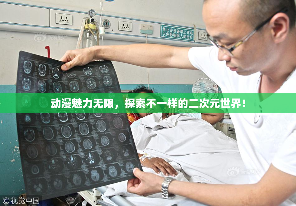 动漫魅力无限，探索不一样的二次元世界！