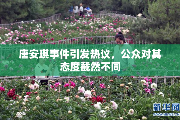 唐安琪事件引发热议，公众对其态度截然不同