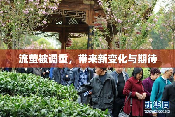 流萤被调重，带来新变化与期待