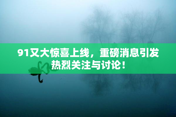 91又大惊喜上线，重磅消息引发热烈关注与讨论！