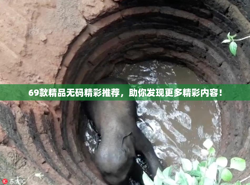 69款精品无码精彩推荐，助你发现更多精彩内容！