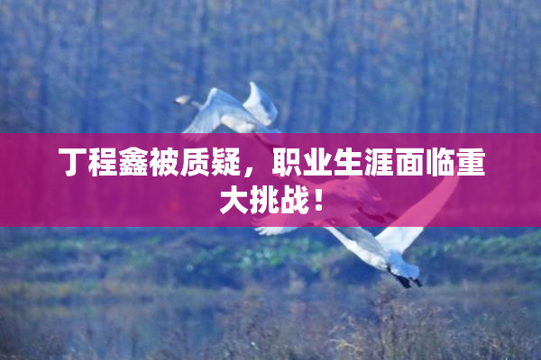 丁程鑫被质疑，职业生涯面临重大挑战！