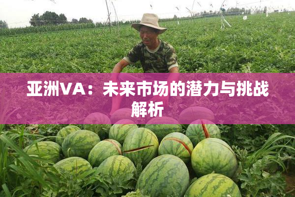 亚洲VA：未来市场的潜力与挑战解析
