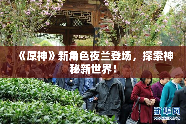 《原神》新角色夜兰登场，探索神秘新世界！