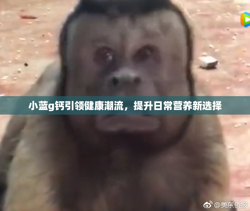 小蓝g钙引领健康潮流，提升日常营养新选择