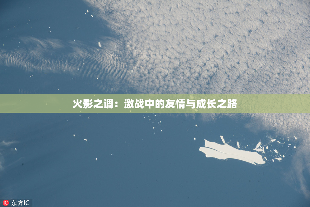火影之调：激战中的友情与成长之路