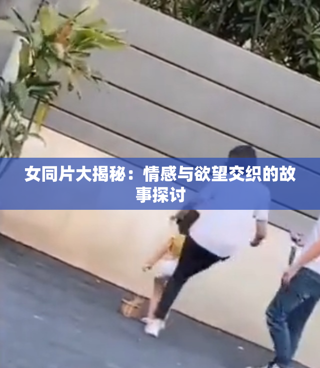 女同片大揭秘：情感与欲望交织的故事探讨