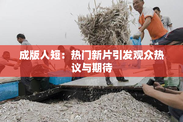成版人短：热门新片引发观众热议与期待