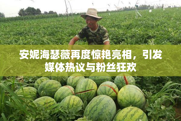 安妮海瑟薇再度惊艳亮相，引发媒体热议与粉丝狂欢