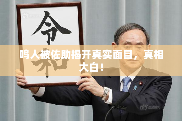 鸣人被佐助揭开真实面目，真相大白！