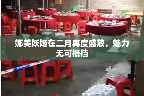 娜美妖姬在二月再度盛放，魅力无可抵挡