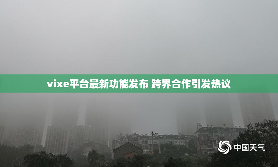 vixe平台最新功能发布 跨界合作引发热议