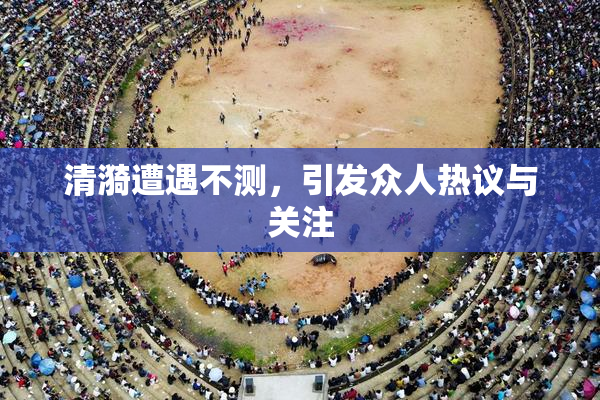 清漪遭遇不测，引发众人热议与关注