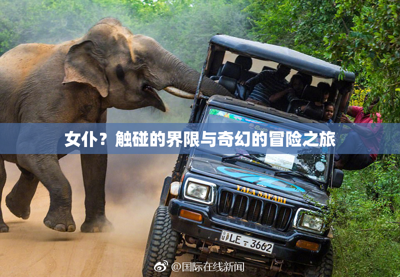 女仆？触碰的界限与奇幻的冒险之旅