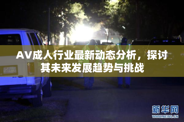 AV成人行业最新动态分析，探讨其未来发展趋势与挑战