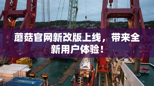 蘑菇官网新改版上线，带来全新用户体验！