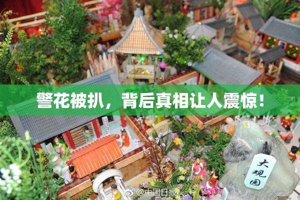 警花被扒，背后真相让人震惊！