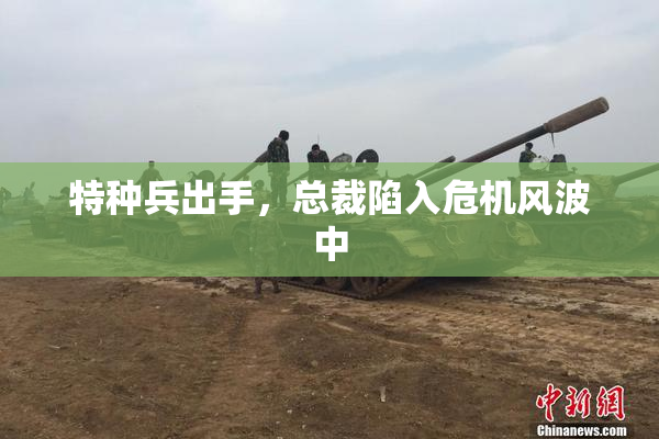 特种兵出手，总裁陷入危机风波中
