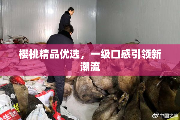 樱桃精品优选，一级口感引领新潮流