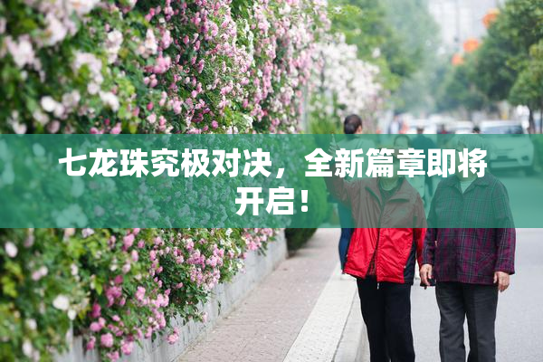 七龙珠究极对决，全新篇章即将开启！