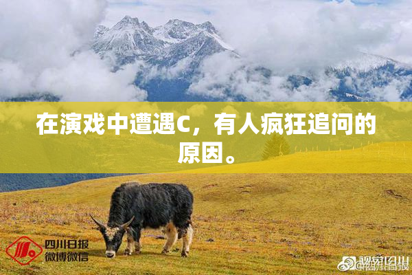 在演戏中遭遇C，有人疯狂追问的原因。