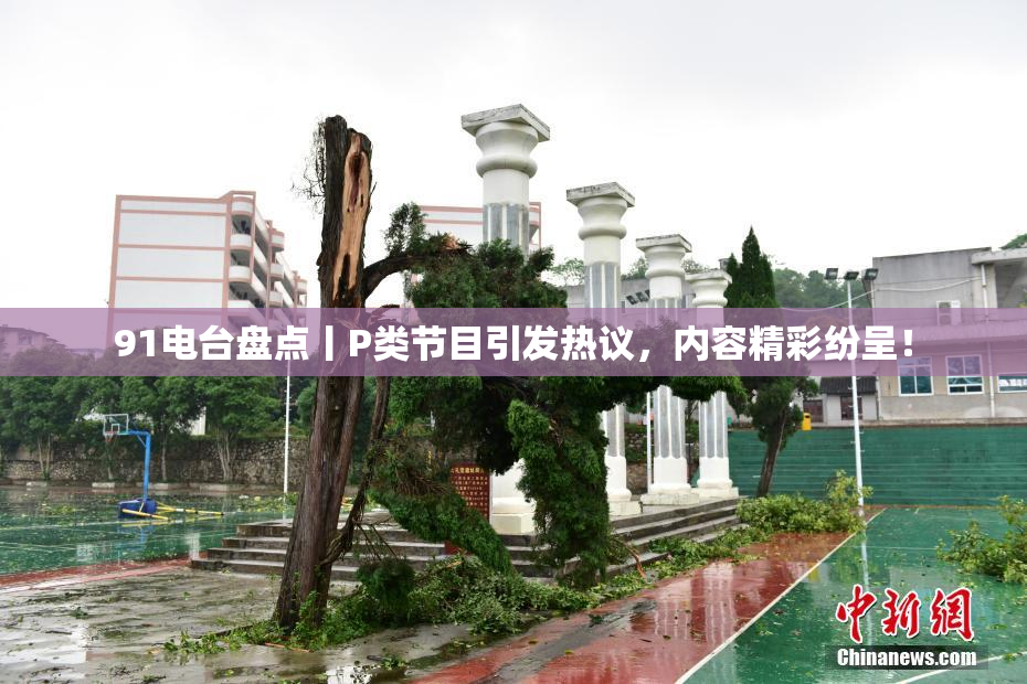 91电台盘点丨P类节目引发热议，内容精彩纷呈！