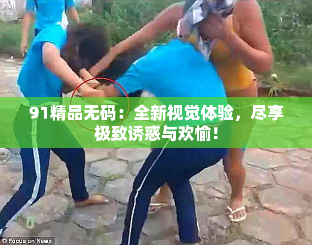 91精品无码：全新视觉体验，尽享极致诱惑与欢愉！