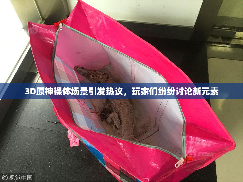 3D原神裸体场景引发热议，玩家们纷纷讨论新元素