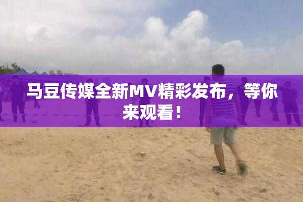 马豆传媒全新MV精彩发布，等你来观看！