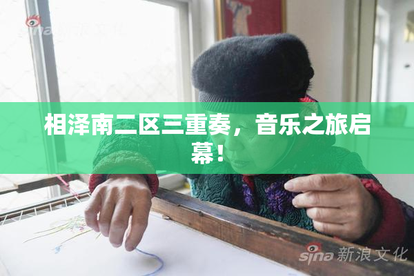 相泽南二区三重奏，音乐之旅启幕！