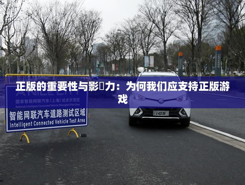 正版的重要性与影響力：为何我们应支持正版游戏