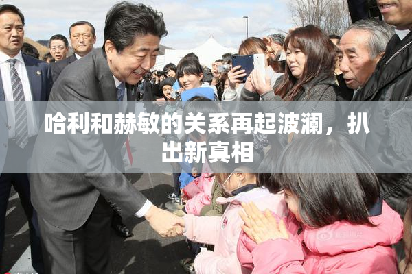哈利和赫敏的关系再起波澜，扒出新真相