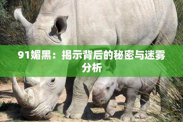 91媚黑：揭示背后的秘密与迷雾分析