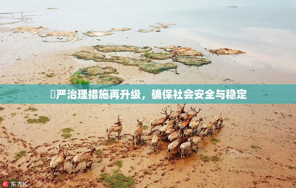 囯严治理措施再升级，确保社会安全与稳定