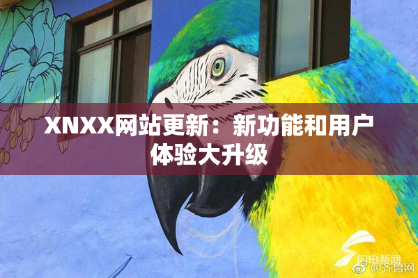 XNXX网站更新：新功能和用户体验大升级