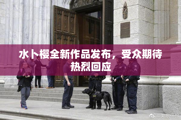 水卜樱全新作品发布，受众期待热烈回应