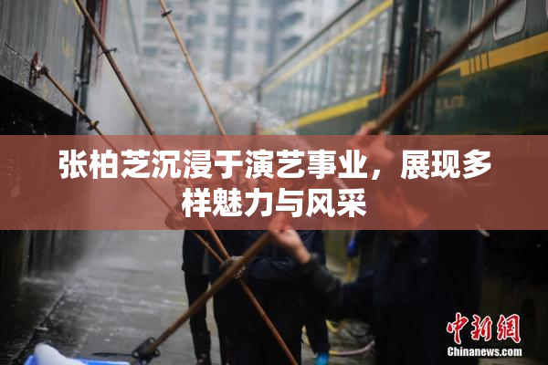 张柏芝沉浸于演艺事业，展现多样魅力与风采