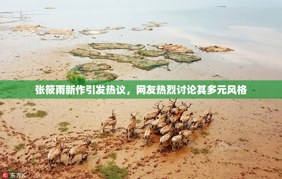 张筱雨新作引发热议，网友热烈讨论其多元风格