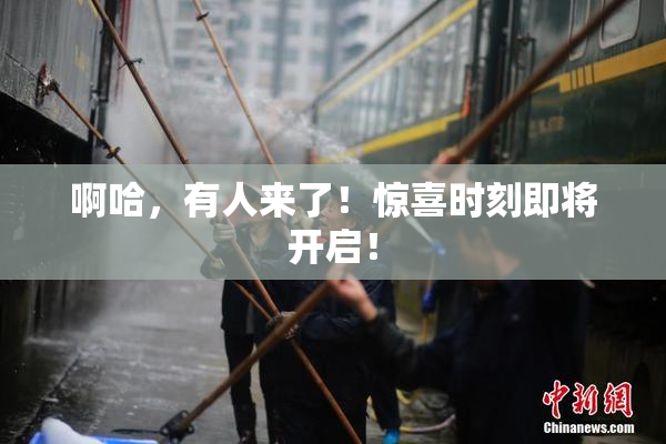 啊哈，有人来了！惊喜时刻即将开启！
