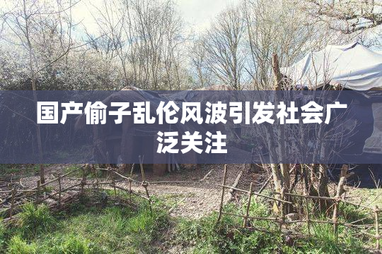国产偷子乱伦风波引发社会广泛关注