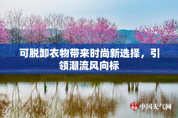 可脱卸衣物带来时尚新选择，引领潮流风向标